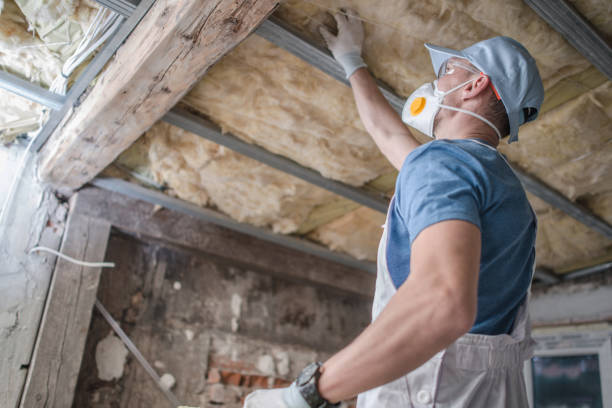 Best Home Insulation Services  in Waverly, NE