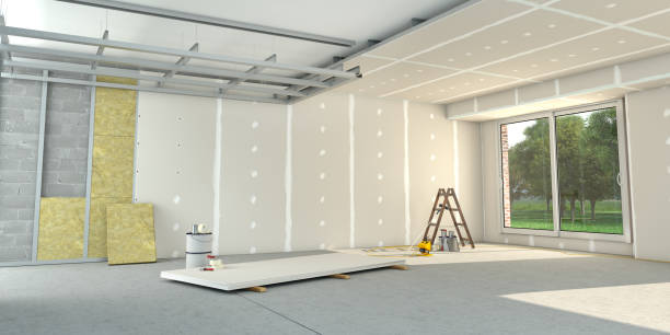 Best Insulation Removal  in Waverly, NE